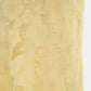 Sorelle Lace Slip Maxi Dress